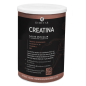 Creatina – 300 g con Vitaminas B1, B6, D y Zinc