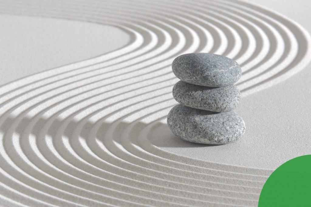 O que é homeostase e por que ela é importante para sua saúde?