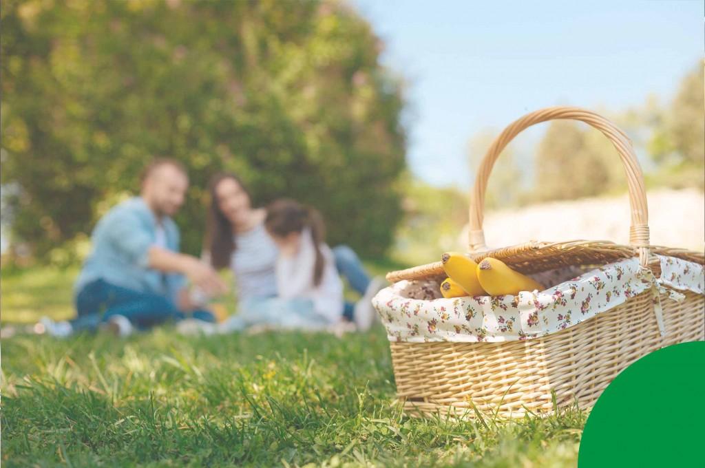 Dimefar, comprometida desde a sua criação com a conciliação trabalho-família