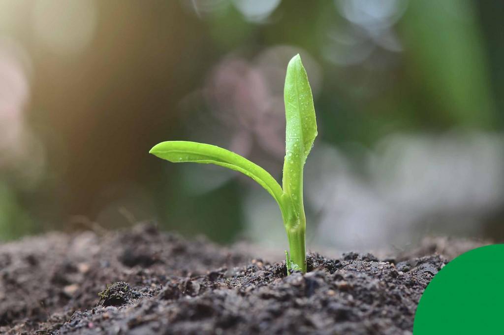 Dimefar incorpora carros híbridos para promover a sustentabilidade