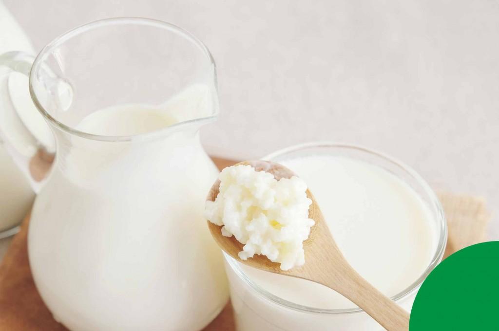 Mantenha a flora digestiva equilibrada: qual regulador intestinal é melhor para você?