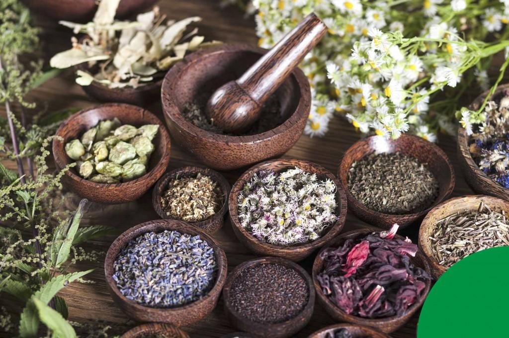 Trementinaires: mulheres intrépidas que vendiam remédios naturais em casa