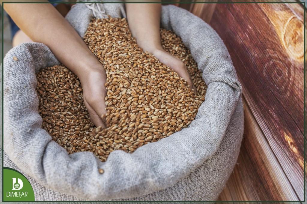 La cebada, una aliada a la hora de reducir tu colesterol