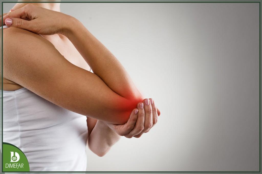 Un estudio confirma la eficacia de Ovomet para proteger las articulaciones