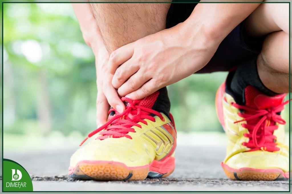 Ovomet mejora la elasticidad de los tendones en personas mayores y deportistas